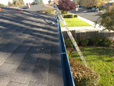 gutters and roof cleaning